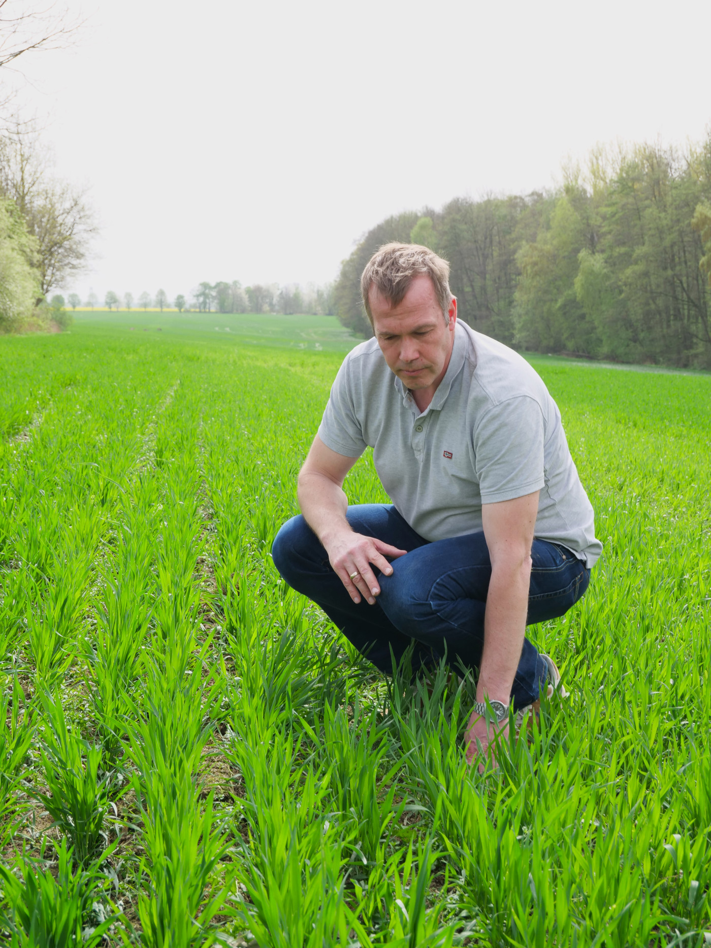 Markus Wiggert hockt in einem Getreidefeld und prüft die Pflanzen
