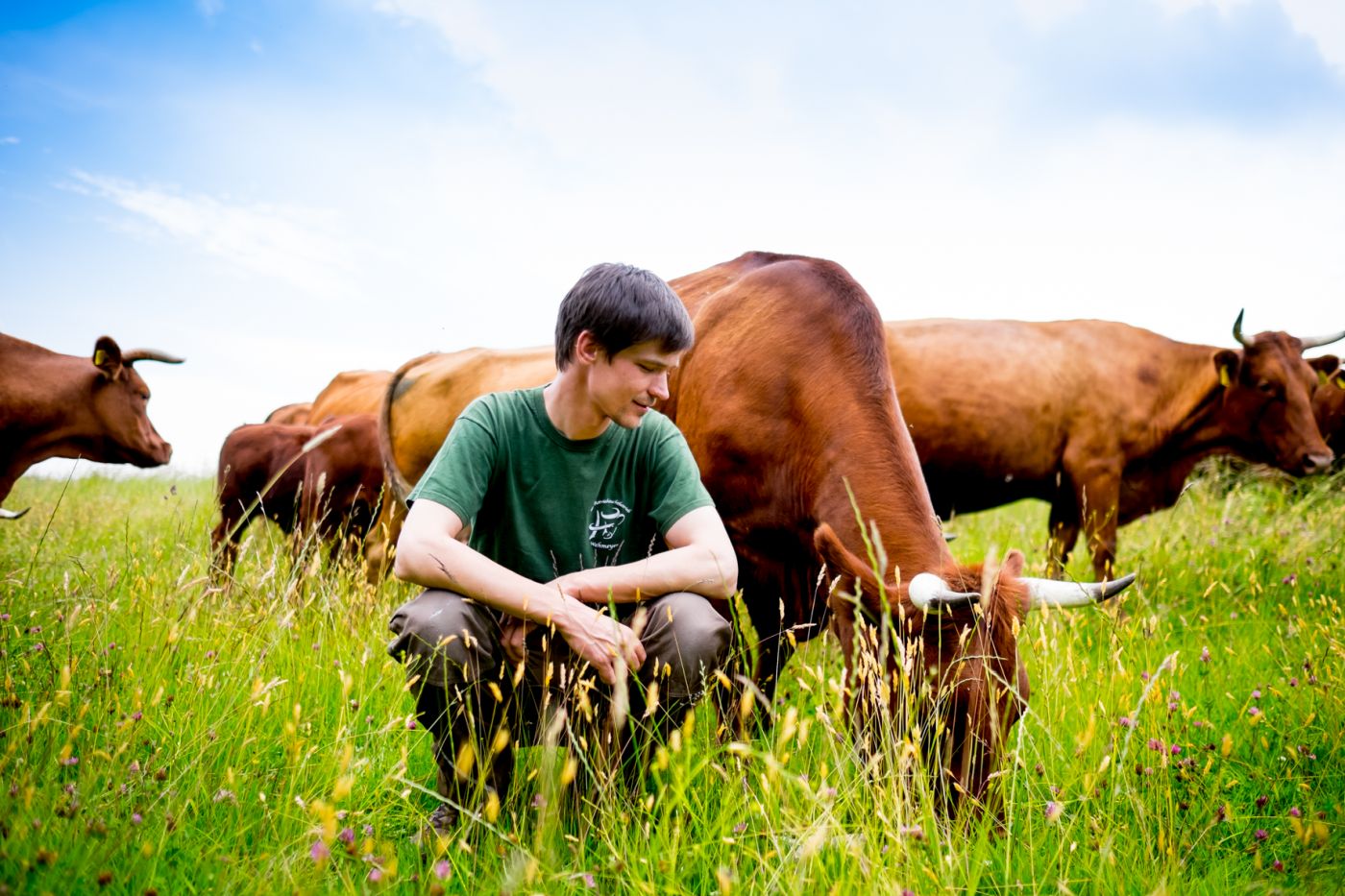 Daniel Wehmeyer mit Rindern auf der Weide. 