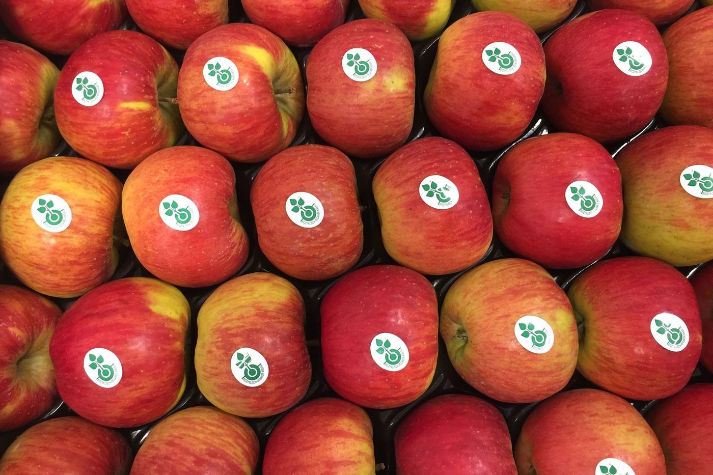 Äpfel mit biozyklisch-veganem Label. Klick führt zu Großansicht in neuem Fenster.