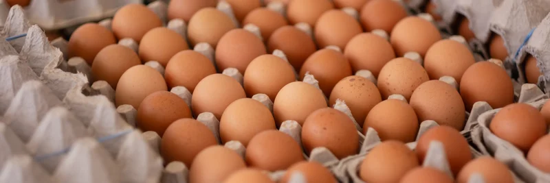 Eier in Kartons gestapelt.