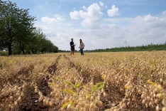 Hülsenreich: Snacks aus Bio-Kichererbsen und regionalen Hülsenfrüchten