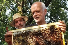 Mellifera e. V. – Lehr- und Versuchsimkerei Fischermühle