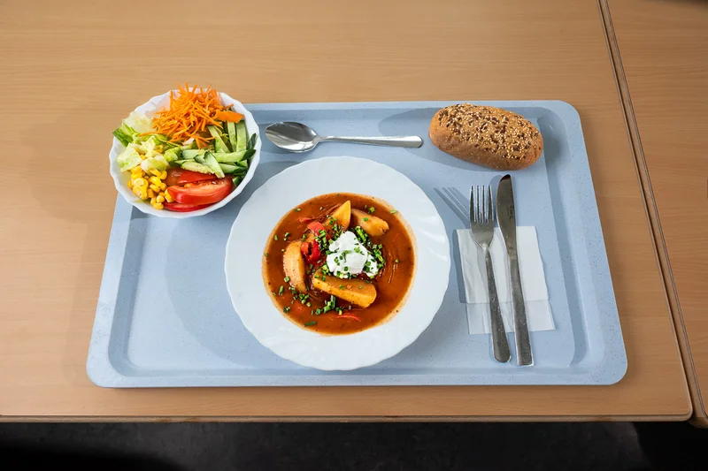 Vegetarisches Gericht auf Tablett. Klick führt zu Großansicht in neuem Fenster.