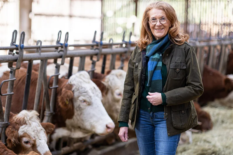 Saarländische Landwirtschaftsministerin Petra Berg im Kuhstall. Klick führt zu Großansicht in neuem Fenster.