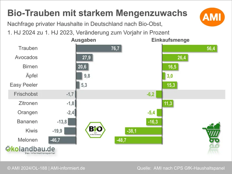 Einkaufsmenge an Bio-Obst der privaten Haushalte in Deutschland. Klick führt zu Großansicht in neuem Fenster.