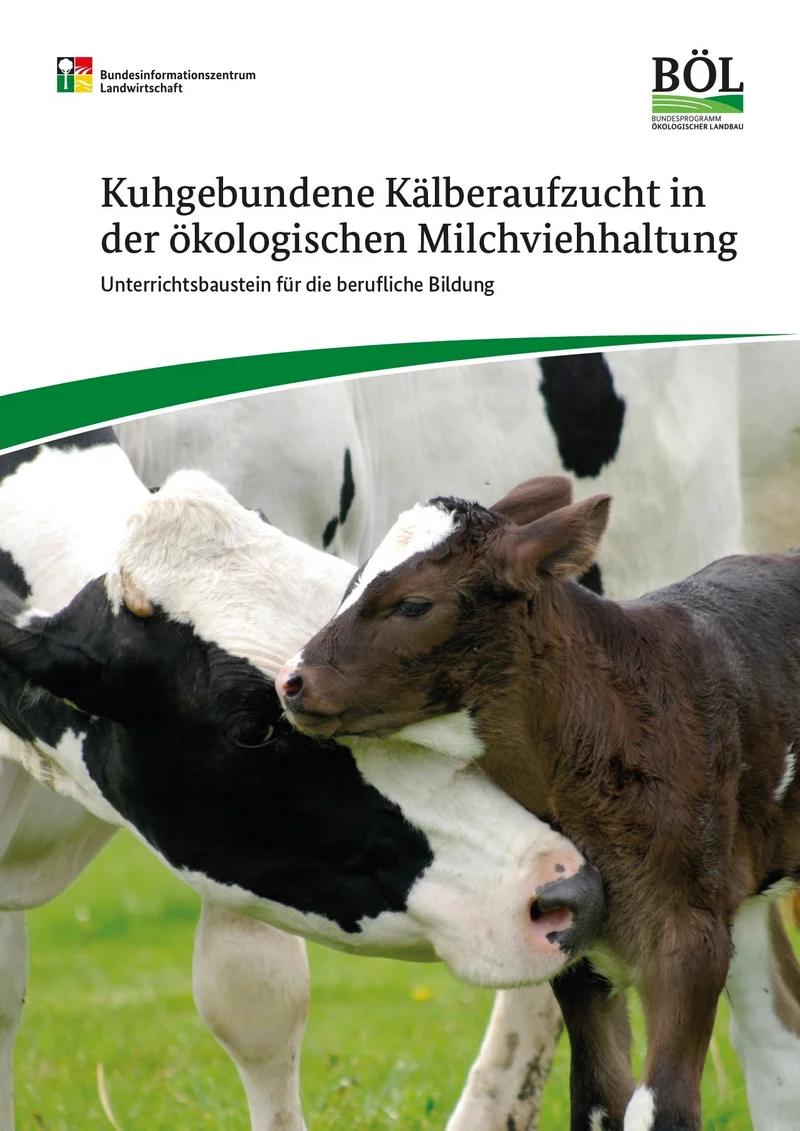 Cover des Unterrichtsbausteins