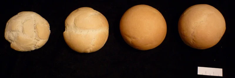 Vier Weizenbrötchen in einer Reihe nebeneinander.