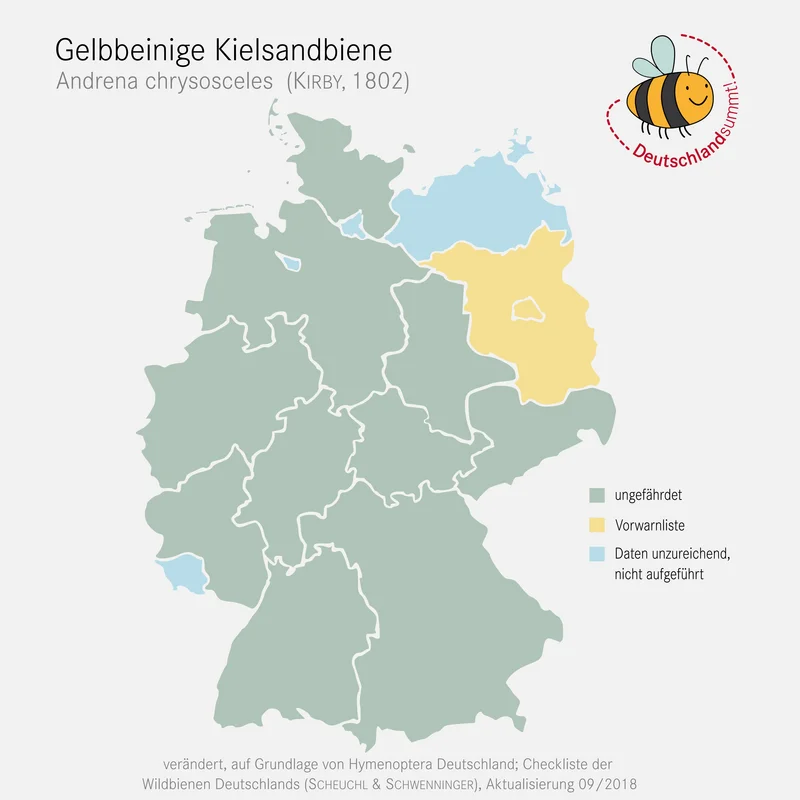 Verbreitungskarte der Gelbbeinigen Kielsandbiene. Klick führt zu Großansicht.