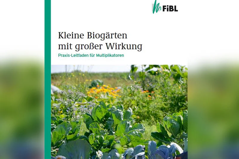 Deckblatt der Publikation