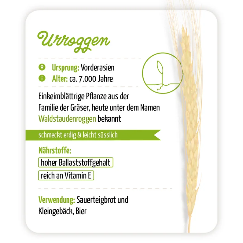 Infografik über Urrogen