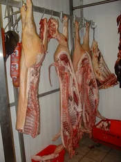 Schweinehälften nach der Schlachtung. Klick führt zu Großansicht im neuen Fenster.