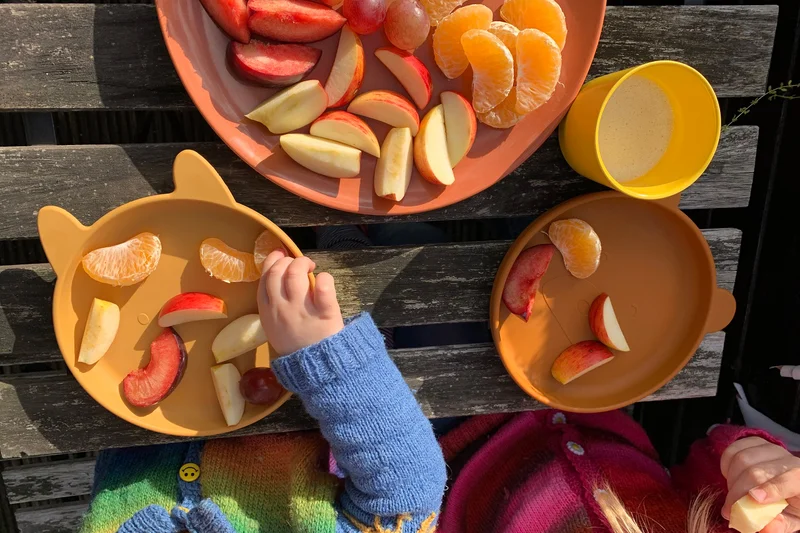 Kinderhand mit Apfelschnitzen. Klick führt zu Großansicht in neuem Fenster.
