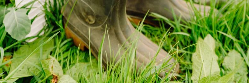 Gummistiefel neben Salatkiste.