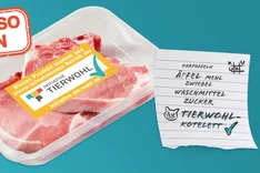 Was bringt die Initiative Tierwohl?