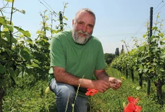 Weingut Hirt-Albrecht