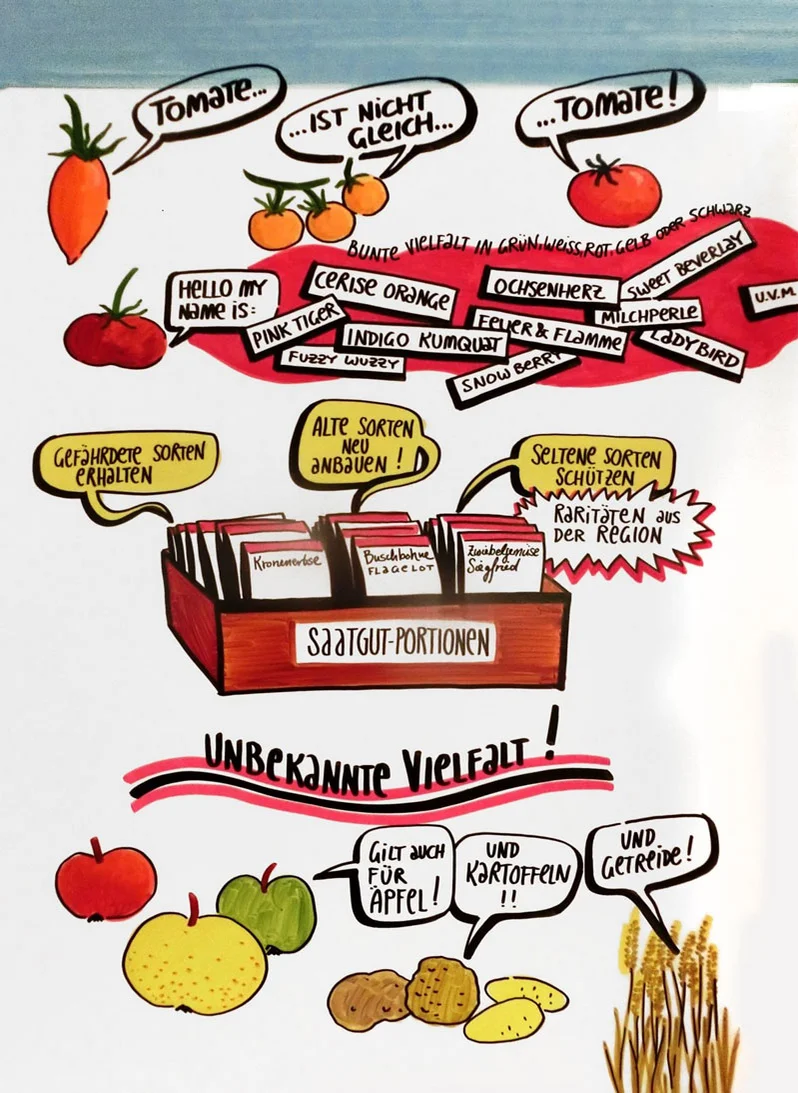 Grafik zur Tomatenvielfalt. Klick führt zu Großansicht in neuem Fenster.