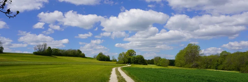 Landwirtschaftlicher Weg führt Richtung Horizont. Foto: Andreas Greiner