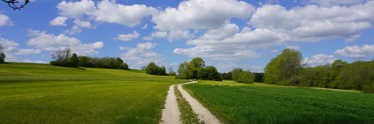 Landwirtschaftlicher Weg führt Richtung Horizont.
