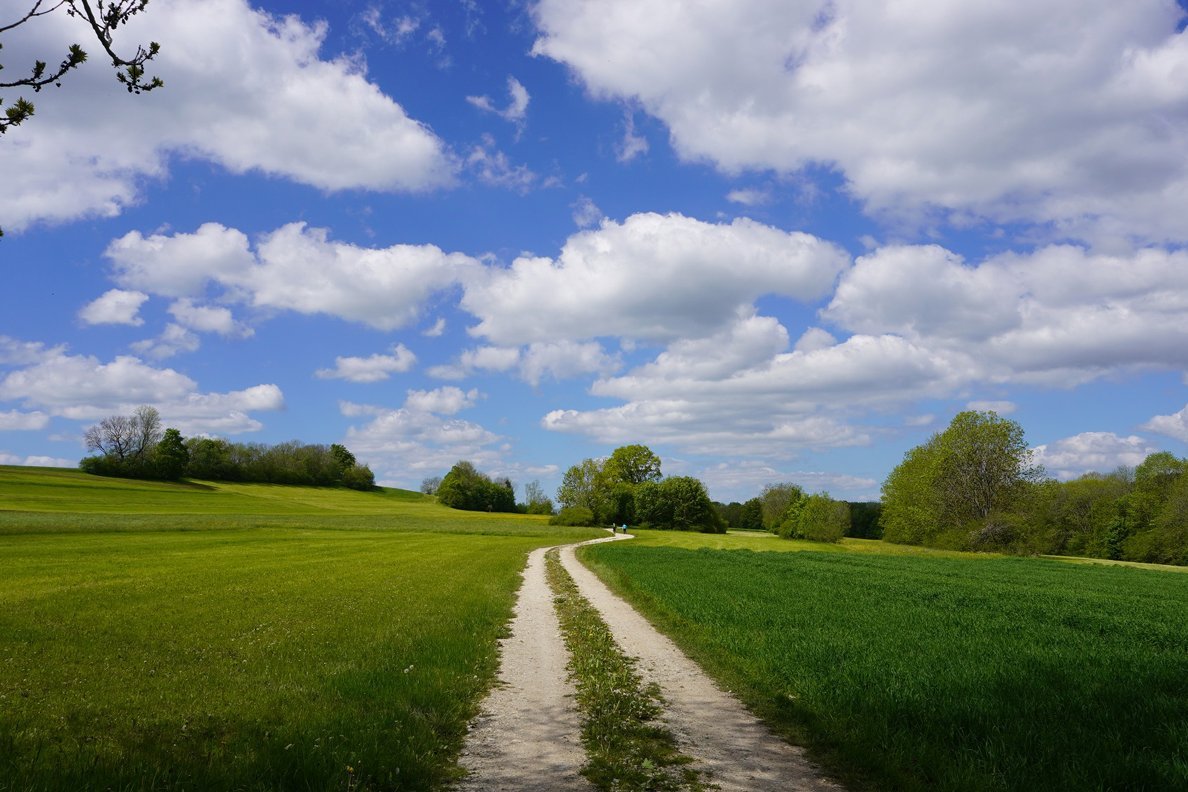 Landwirtschaftlicher Weg führt Richtung Horizont. Foto: Andreas Greiner