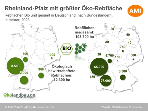 Bio-Rebfläche und gesamte Rebfläche in Deutschland nach Bundesländern im Jahr 2023. Klick führt zu Großansicht in einer Lightbox. Zum Schließen der Lightbox ESC drücken.