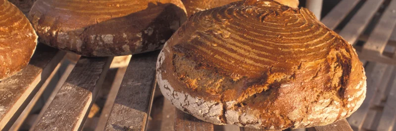 Brotlaibe liegen auf einem Regal.