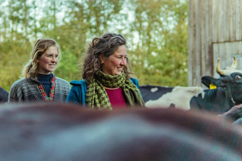 Elisa und Suzanne de Veen zwischen Rindern