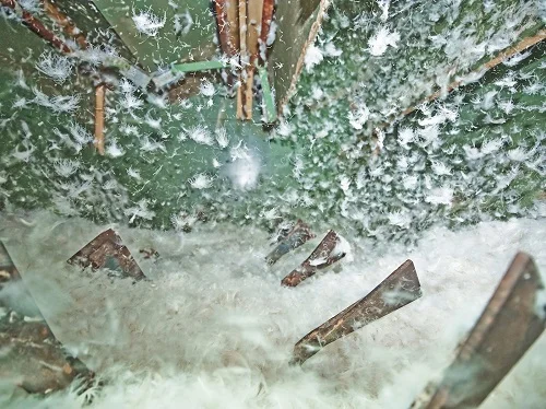 Durch die Luft wirbelnde Daunen. Klick führt zu Großansicht im neuen Fenster.