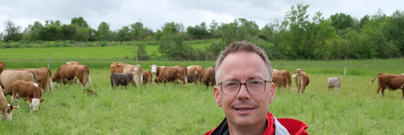 Mann auf Weide mit Kühen im Hintergrund.
