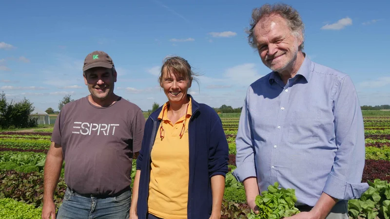Menschen auf Feld. Klick führt zu Groaßnsicht in neuem Fenster.