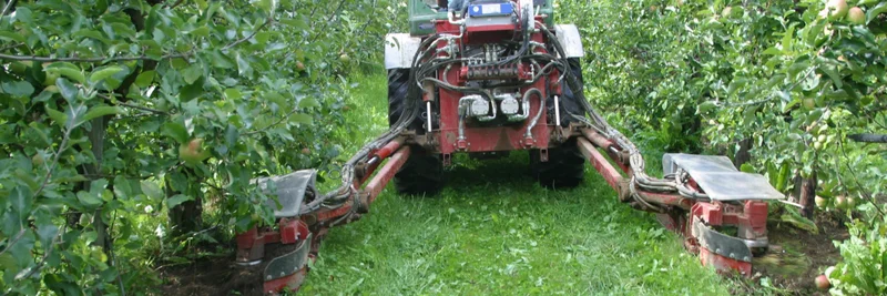 Traktor mit angehängert Maschine zwischen zwei Apfelbaumreihen bei der Unkrautregulierung.
