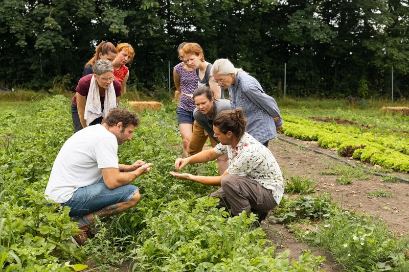 Teilnehmende Field Work. Klick führt zu Großansicht. Schließen mit ESC.