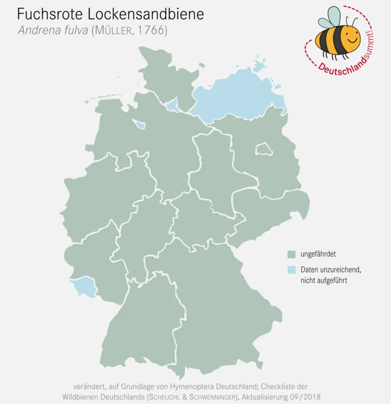 Verbreitungskarte Fuchsrote Lockensandbiene. Klick führt zu Großansicht im neuen Fenster.