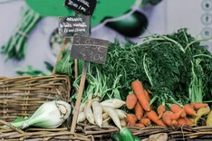 Preiselastizitäten der Nachfrage bei Bio-Lebensmitteln