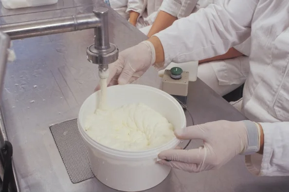 Zu sehen ist die Verarbeitung von Milch. Klick führt zu Großansicht.