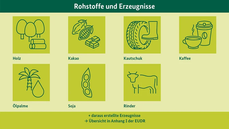 Infografik zu von EUDR betroffenen Produkten. Klick führt zu Großansicht in einer Lightbox. Zum Schließen der Lightbox ESC drücken.
