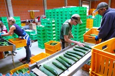 Wirtschaftliche Lage im Ökolandbau