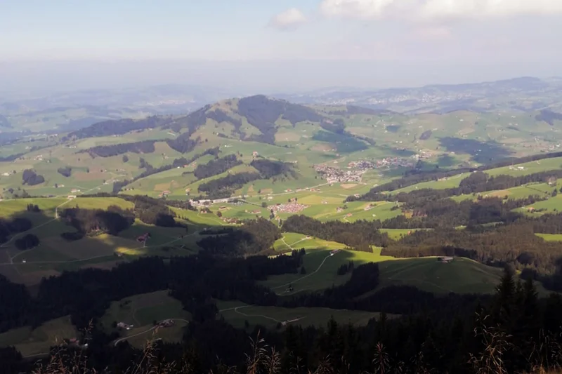 Bestimmungsgründe der deutschen Landpachtpreise