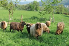 Klosterhof Bünghausen