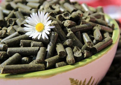 Kleedüngepellets in rosa Schale. Klick führt zu Großansicht im neuen Fenster.