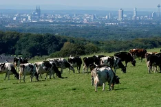Gesellschaftliche Leistungen von Bio-Betrieben