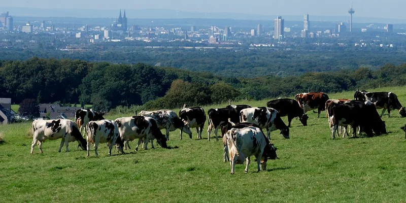 Gesellschaftliche Leistungen von Bio-Betrieben