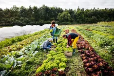 Warum bioregionale Wertschöpfungsketten unsere Ernährungssicherheit stärken