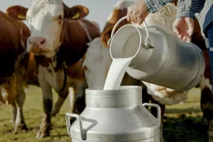Milchmarkt im Wandel: Wie verändert sich der Bio-Milchpreis?