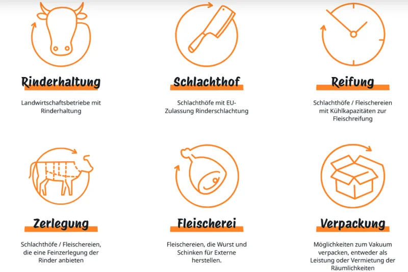 Grafik zu den Akteuren der Wertschöpfungskette Rindfleisch. Klick führt zu Großansicht im neuen Fenster.