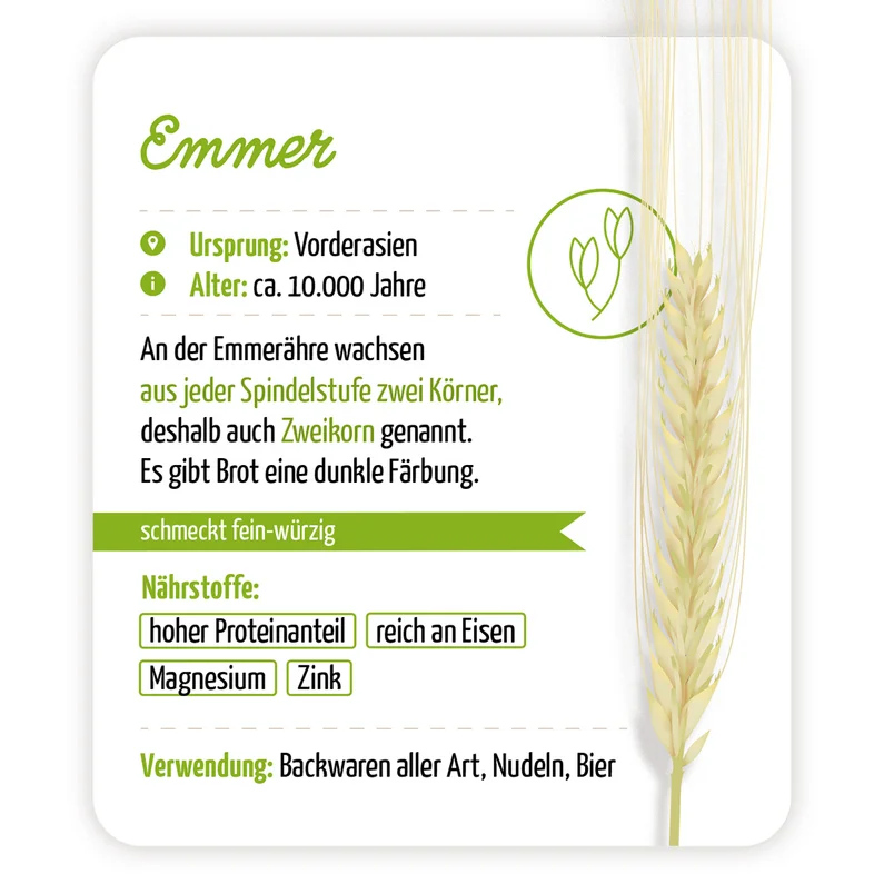 Infografik über Emmer
