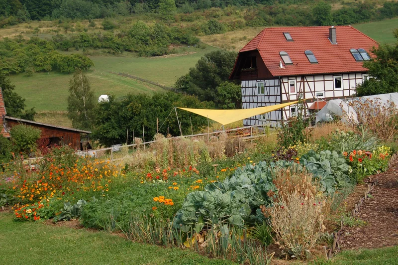 Kräutergarten, Klick führt zu Großansicht im neuen Fenster