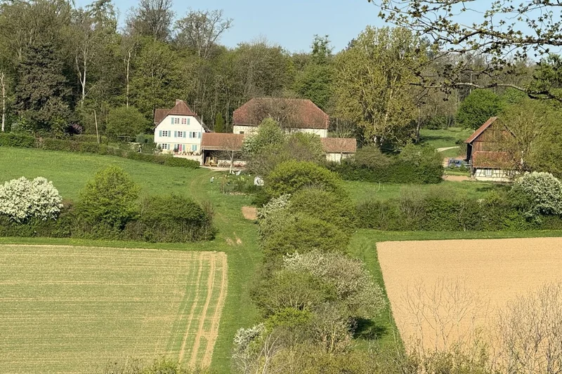Hecken in der Landschaft.