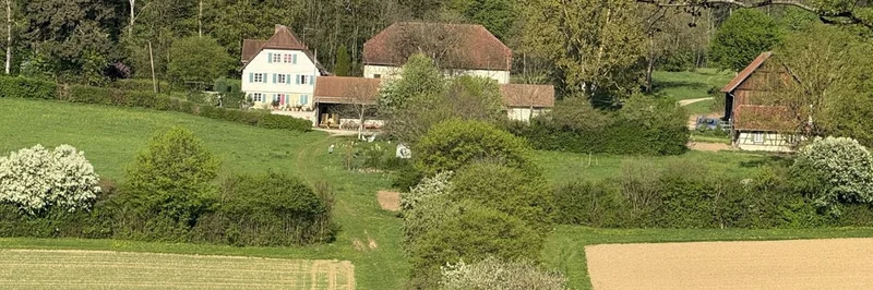 Hecken in der Landschaft.