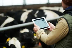 KI in der Landwirtschaft