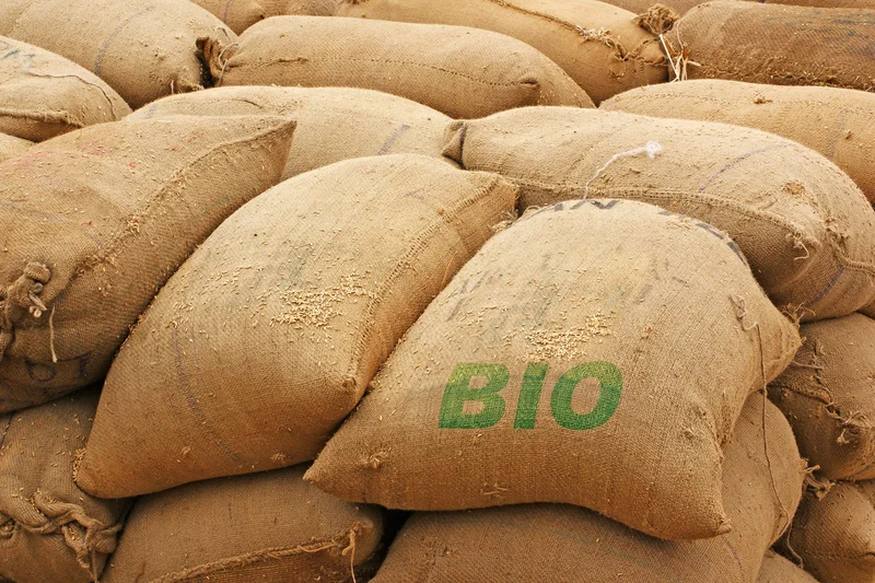 Säcke mit Getreide und Aufschrift Bio. Foto: Adobe Stock / photlook